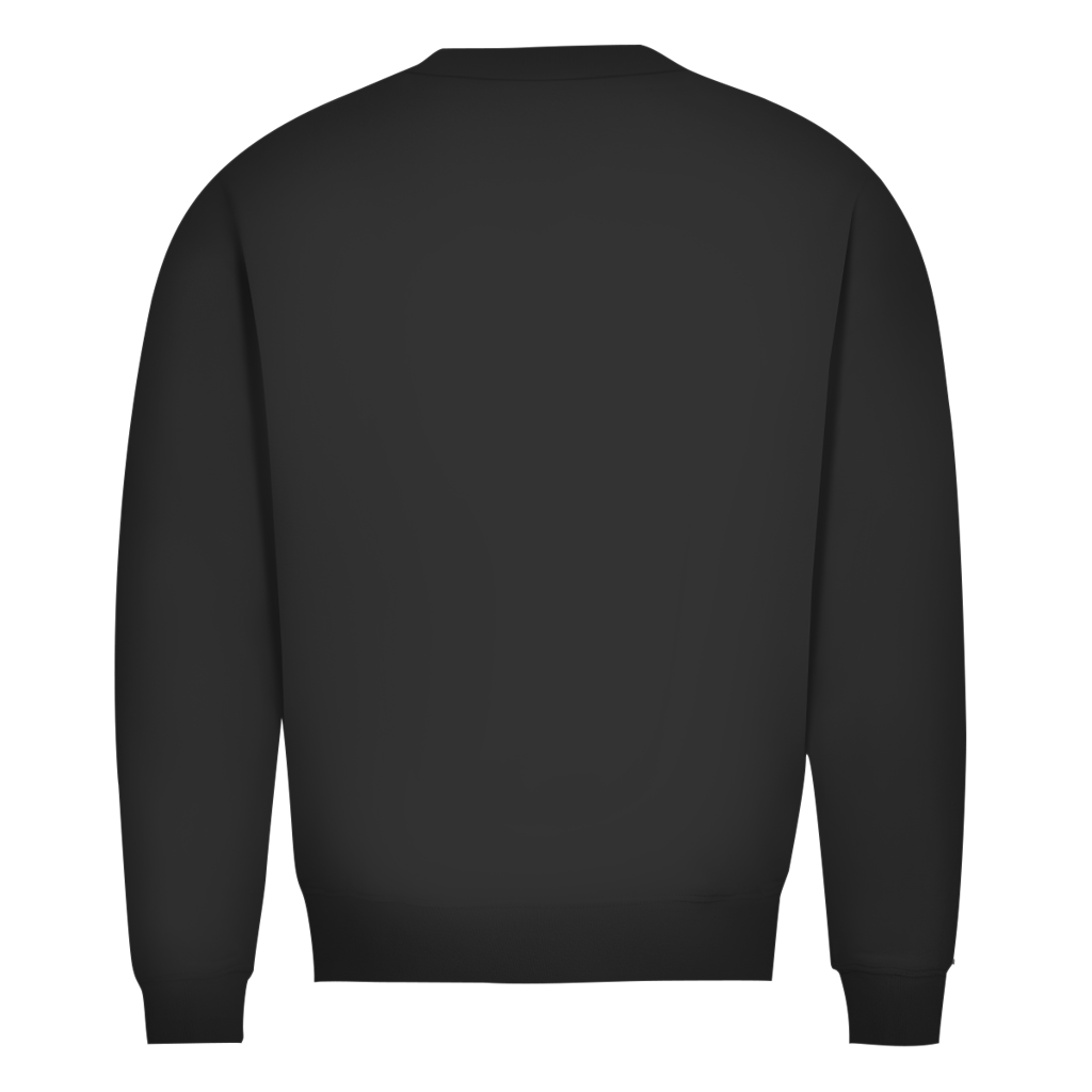 BnU Basic Herren-Sweatshirt Bio in Black Pure, Rückansicht mit Bündchen am Saum