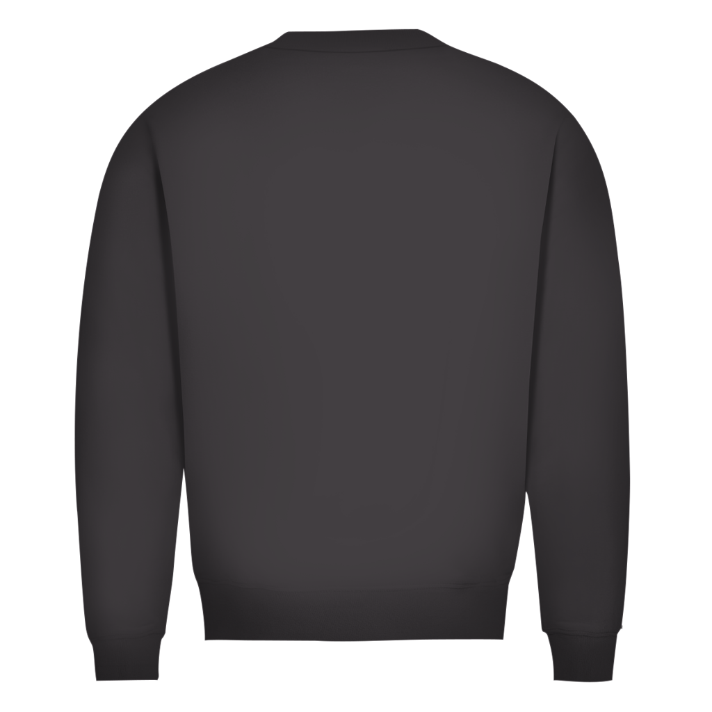 Herren-Sweatshirt, Bio-Baumwolle, dunkelgrau, Rückansicht ohne Aufdruck im Bildbereich