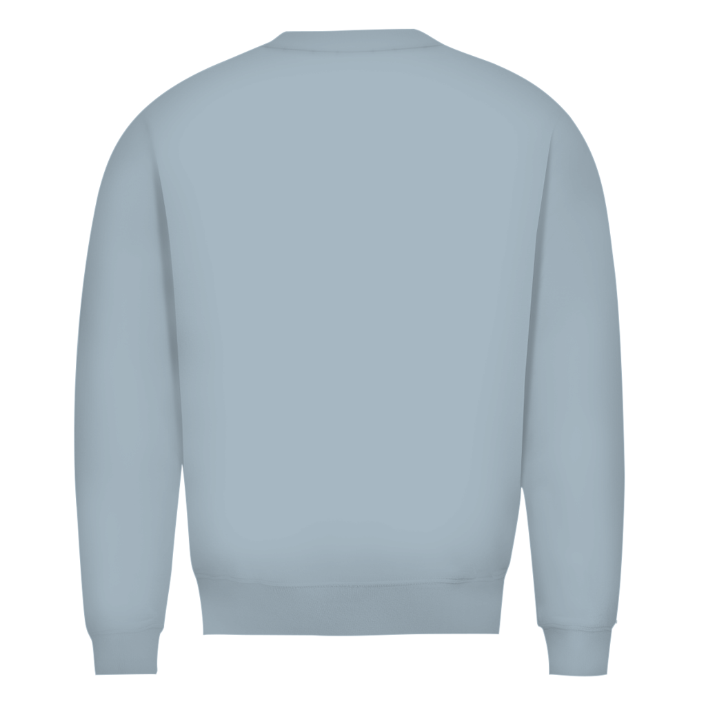Herren-Sweatshirt Bio, Blau (Blue Fog), Rückansicht mit breitem Saum und Bündchen