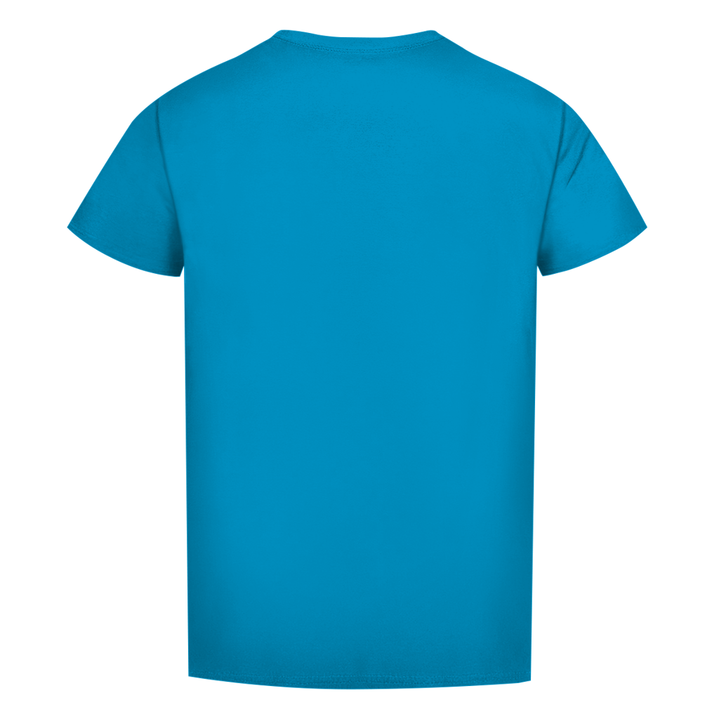 Herren-T-Shirt, türkisblau, unbedruckte Rückseite